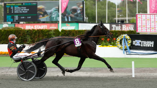 Foto: LENA EMMOTH / TR BILD