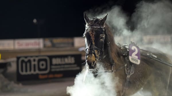 Foto: LARS JAKOBSSON / TR BILD