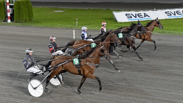 Foto: LARS JAKOBSSON / TR BILD
