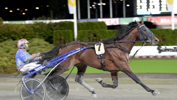 Foto: LARS JAKOBSSON / TR BILD