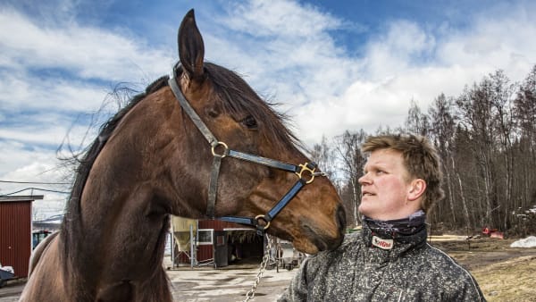 Foto: Svante Harström/TR BILD