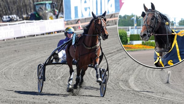 Foto: MALIN ALBINSSON/LARS JAKOBSSON/TR BILD/MONTAGE