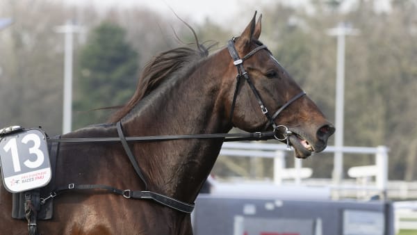 Foto: JEAN-LUC LAMAÈRE/TR BILD