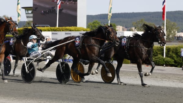 Foto: ROGER SVALSRÖD/HESTEGUIDEN