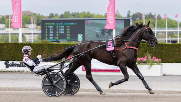 Foto: LENA EMMOTH / TR BILD