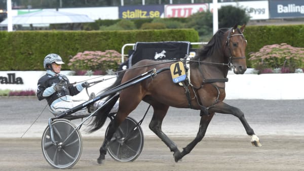 Foto: LARS JAKOBSSON / TR BILD