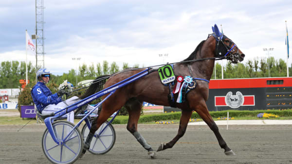 Foto: MARIA HOLMÉN / TR BILD