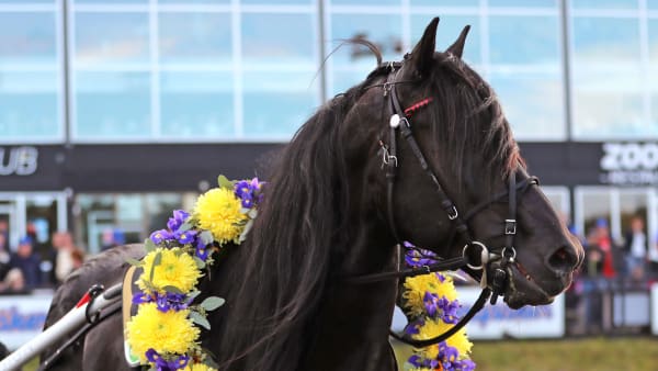 Foto: MARIA HOLMÉN / TR BILD
