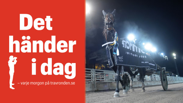 Foto: TR BILD