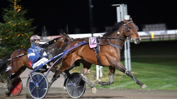 Foto: MALIN ALBINSSON / TR BILD