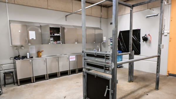 Foto: LARS JAKOBSSON / TR BILD