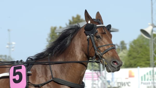 Foto: LARS JAKOBSSON / TR BILD