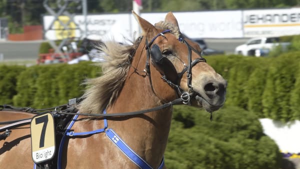 Foto: LARS JAKOBSSON / TR BILD