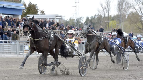 Foto: LARS JAKOBSSON / TR BILD