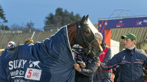 Foto: JEAN-LUC LAMAÈRE/TR BILD