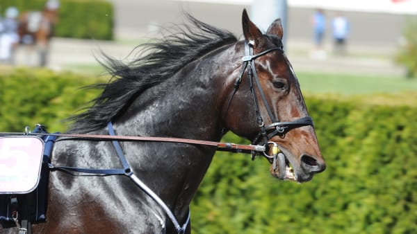 Foto: THOMAS BLOMQVIST / TR BILD