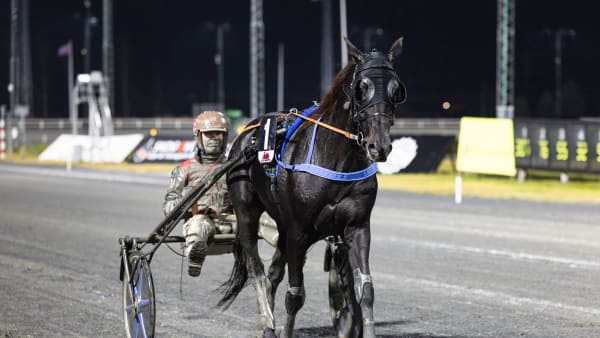 Foto: LENA EMMOTH / TR BILD