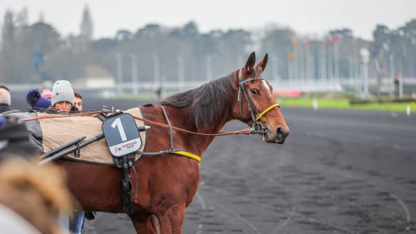 Foto: Bruno Vandevelde - Le Trot.