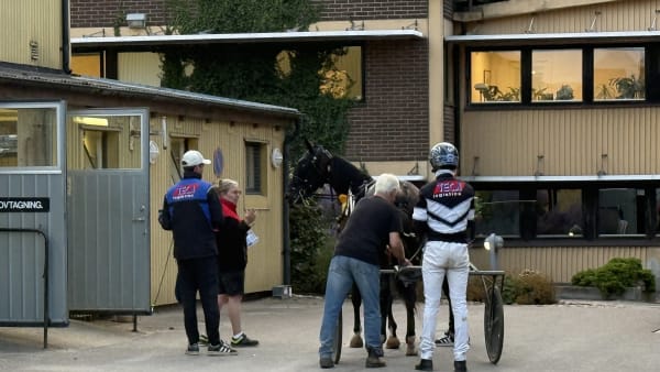 Foto: Rickard Hansson/TR Bild.
