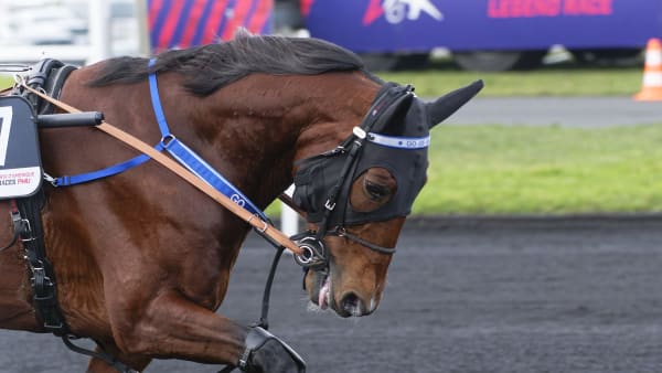 Foto: JEAN-LUC LAMAÈRE/TR BILD