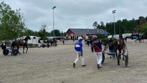 Foto: Tr Media / Mattias Holmgren.