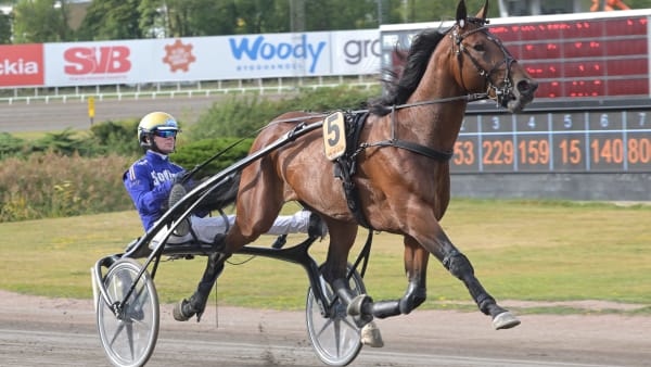 Foto: LARS JAKOBSSON / TR BILD