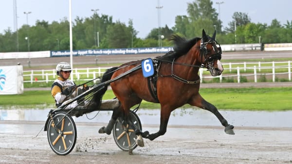 Foto: MARIA HOLMÉN / TR BILD