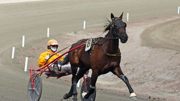 Foto: MATILDA ÖHRMAN / TR BILD