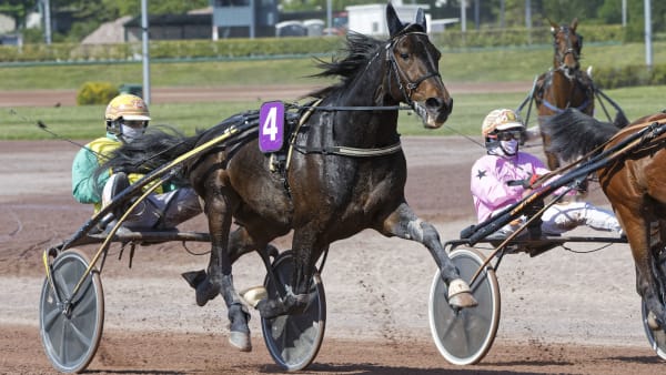 Foto: JEAN-LUC LAMAÈRE/LE TROT