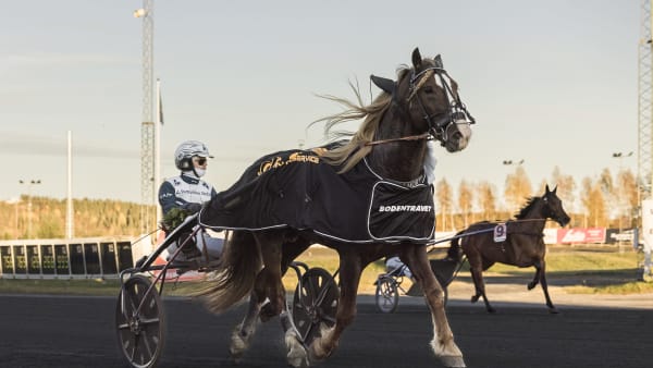 Foto: LENA EMMOTH / TR BILD