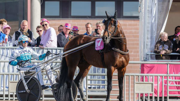Foto: LENA EMMOTH / TR BILD