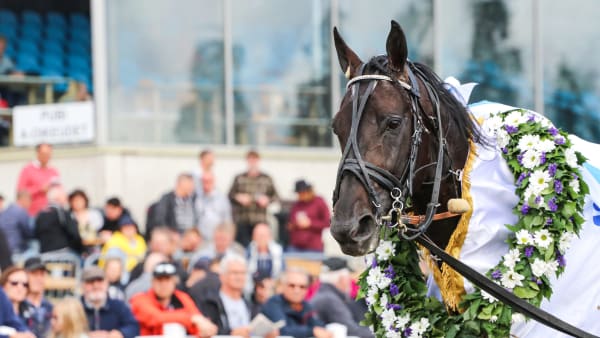 Foto: JUHO HÄMÄLÄINEN/SUOMEN HIPPOS