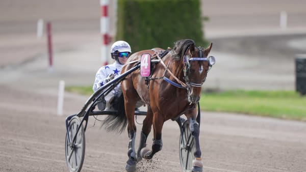 Foto: THOMAS BLOMQVIST/TR BILD