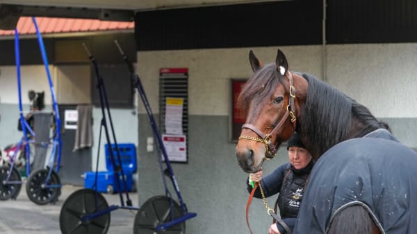 Foto: THOMAS BLOMQVIST / TR BILD