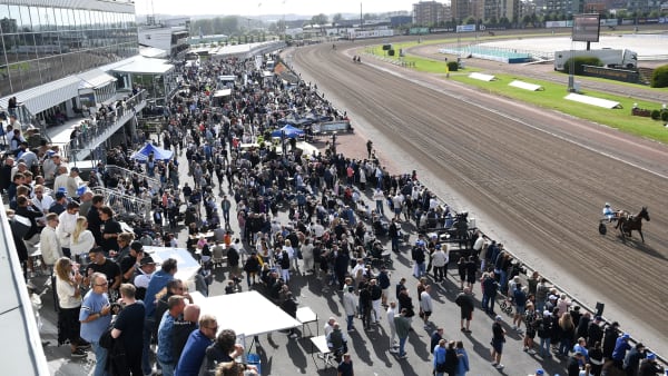 Foto: MALIN ALBINSSON/TR BILD