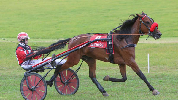 Foto: SARAH THOMAS