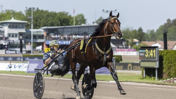 Foto: LENA EMMOTH / TR BILD