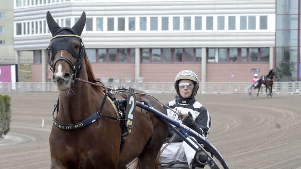 Foto: LARS JAKOBSSON/TR BILD