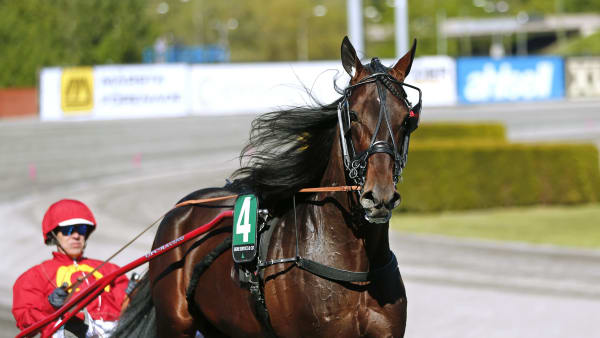 Foto: MARIA HOLMÉN / TR BILD