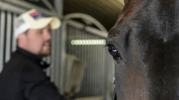 Foto: LARS JAKOBSSON / TR BILD