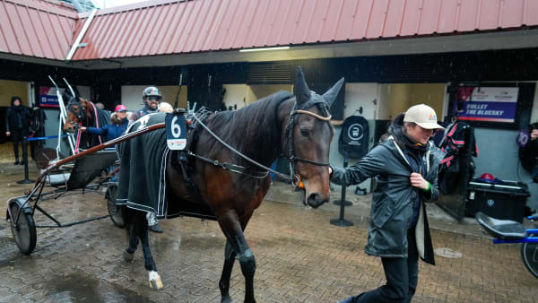 Foto: THOMAS BLOMQVIST / TR BILD