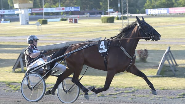 Foto: LARS JAKOBSSON / TR BILD