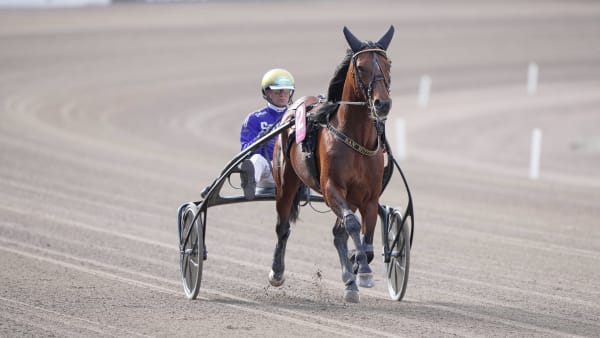 Foto: THOMAS BLOMQVIST / TR BILD