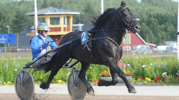 Foto: CLAES KÄRRSTRAND