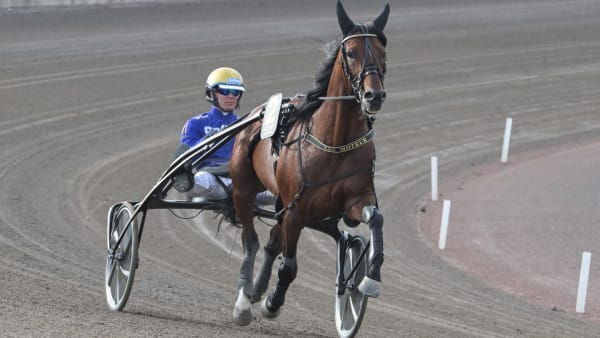 Foto: LARS JAKOBSSON / TR BILD