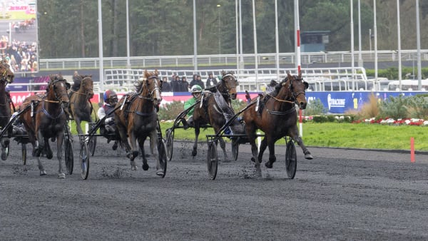 Foto: Jean-Luc Lamaère/TR Bild