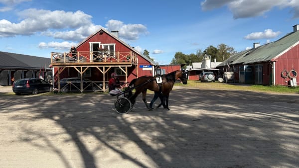 Foto: EMIL PERSSON/TR BILD