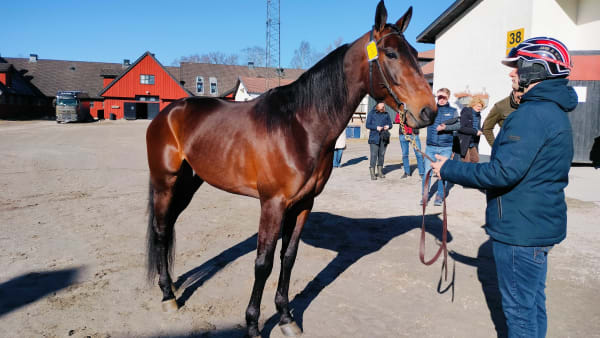 Foto: LUCAS ERICSSON/TR BILD