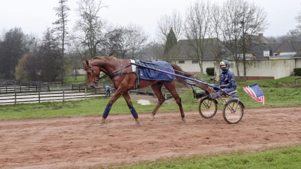 Foto: Lars Jakobsson/TR Bild