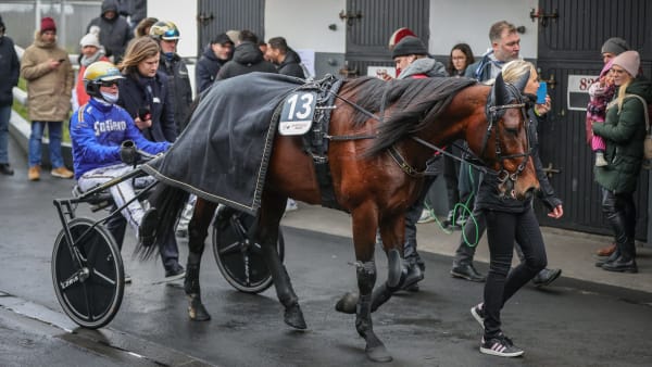 Foto: BRUNO VANDEVELDE/LE TROT